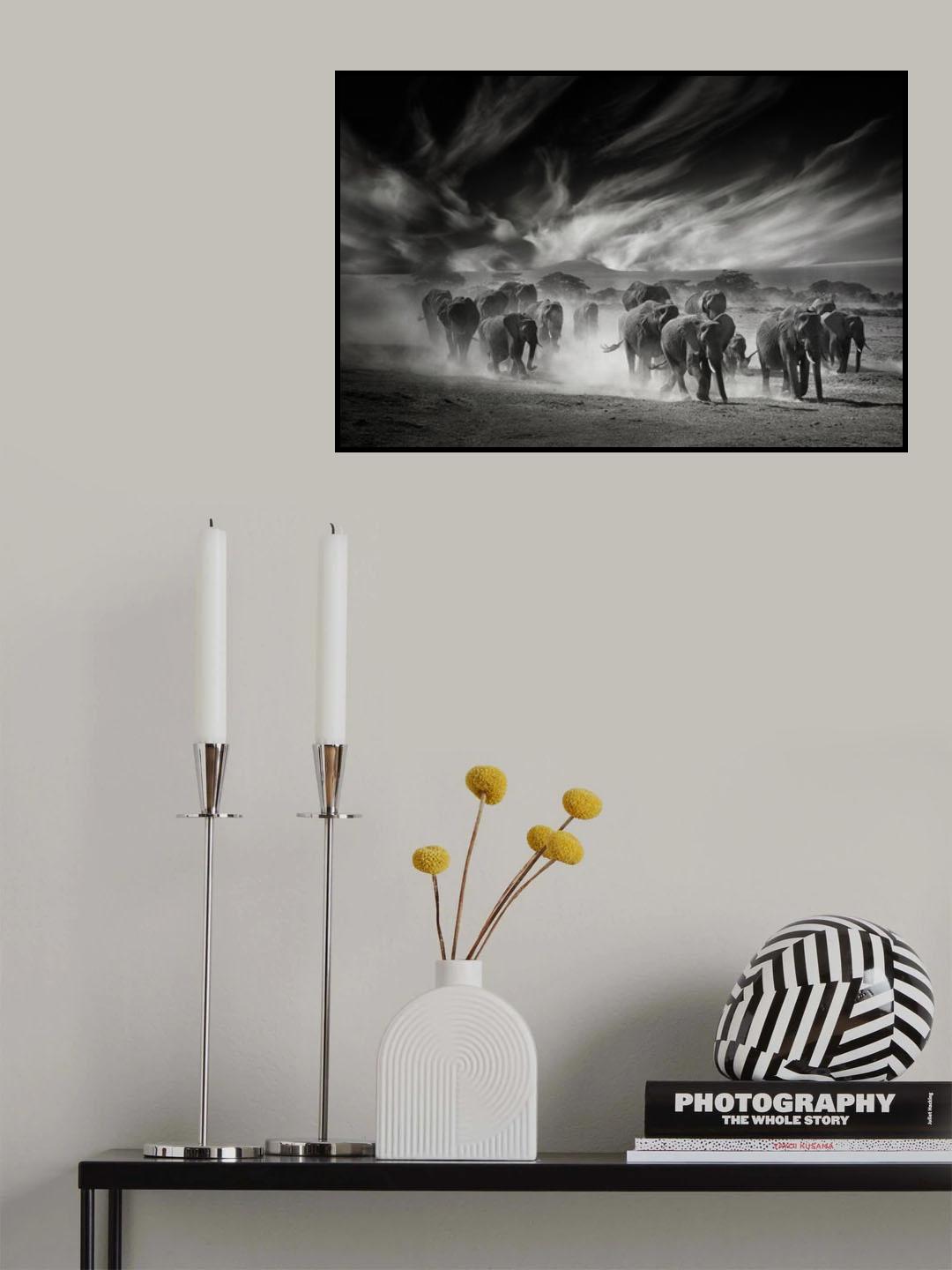The sky, the dust and the Elephants Poster och Canvastavla
