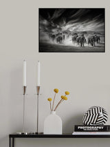 The sky, the dust and the Elephants Poster och Canvastavla