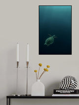 The fly of the Hawksbill Poster och Canvastavla