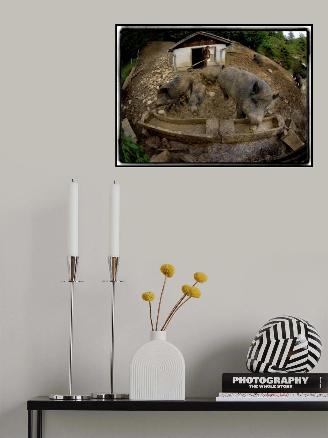 Piggish Poster och Canvastavla