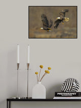 Chasing Poster och Canvastavla