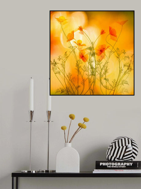 in motion Poster och Canvastavla