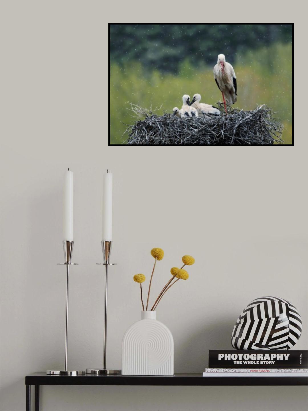 Dady... Poster och Canvastavla