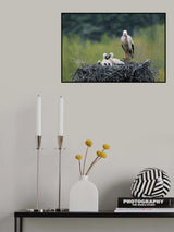 Dady... Poster och Canvastavla