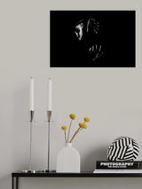 n/t Poster och Canvastavla