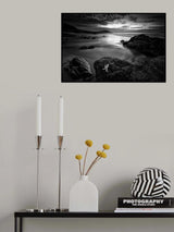 White starfish Poster och Canvastavla