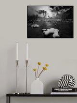 Snow in Yosemite Poster och Canvastavla