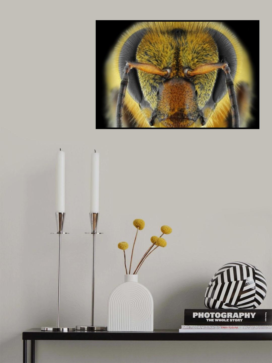 Yellow-Faced Bee Poster och Canvastavla