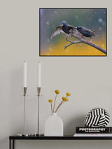 Play in the early spring Poster och Canvastavla