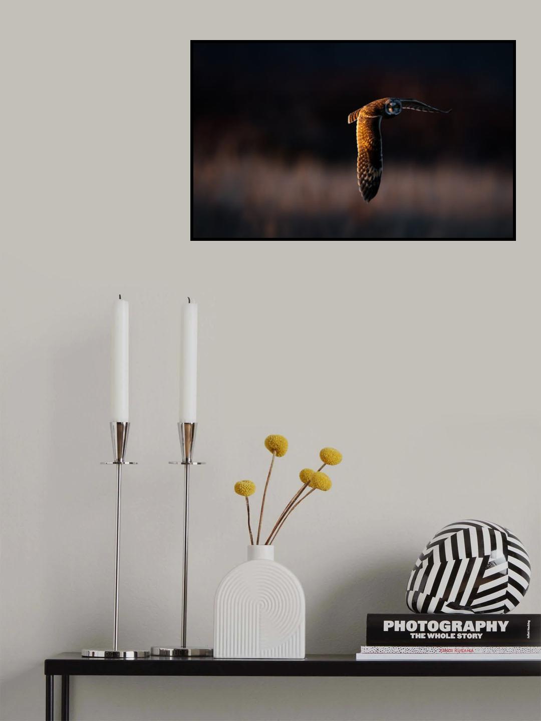 Facing each other Poster och Canvastavla