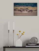 Wild Rituals Poster och Canvastavla
