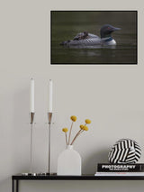 Along for the ride Poster och Canvastavla