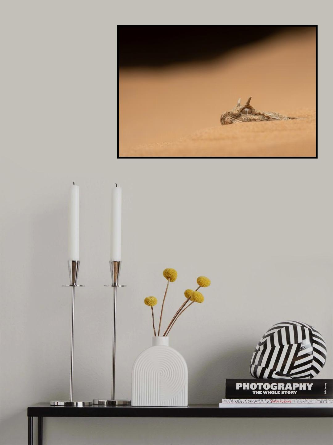 Sahara Horned Viper Poster och Canvastavla