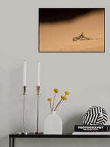 Sahara Horned Viper Poster och Canvastavla