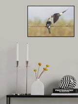 Feeding Poster och Canvastavla