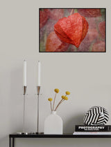 Still life Poster och Canvastavla
