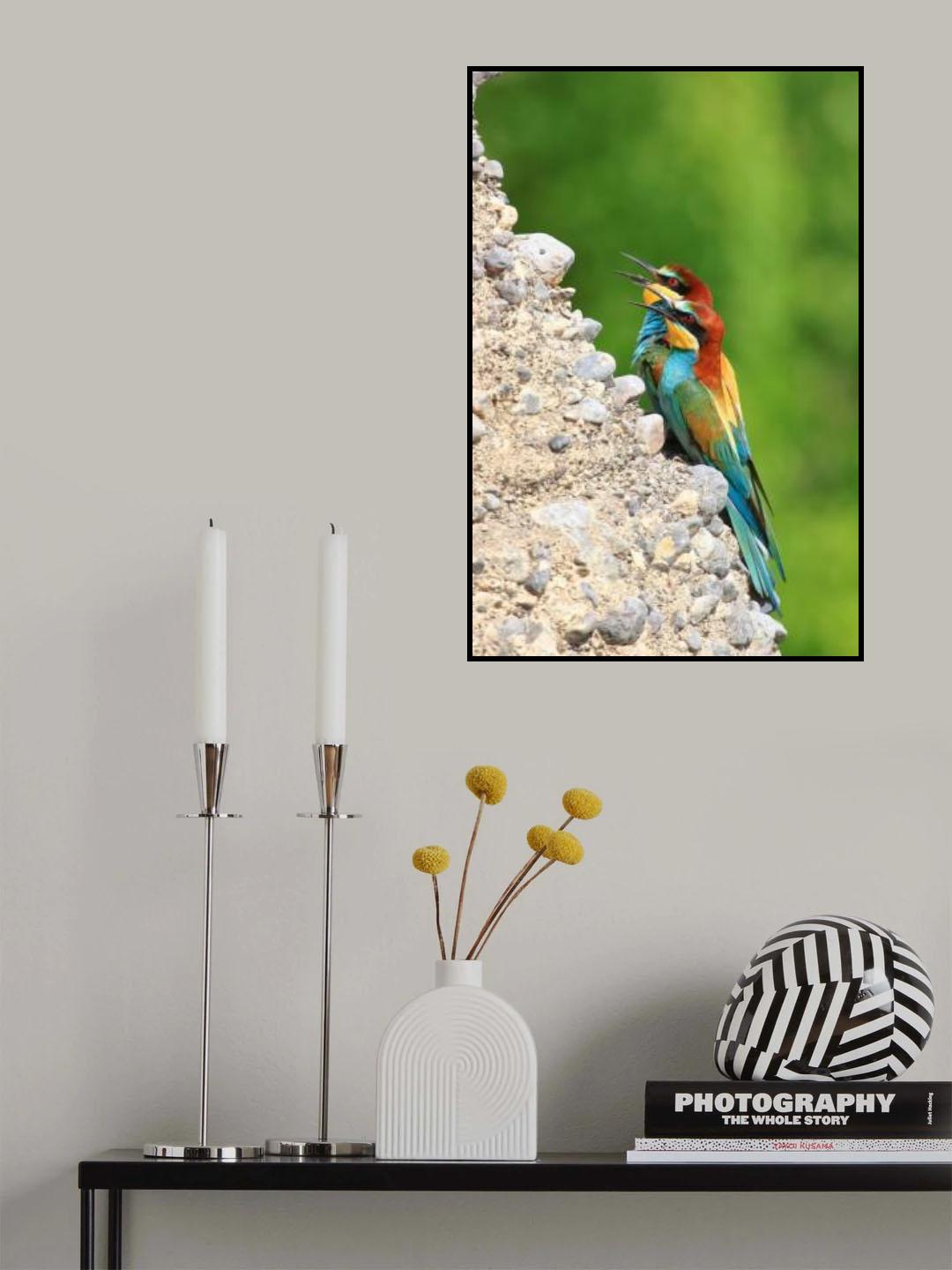 Angry birds Poster och Canvastavla