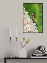 Angry birds Poster och Canvastavla