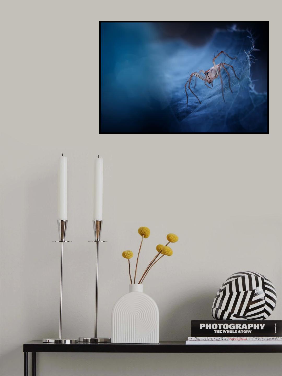 Blue World Spider Poster och Canvastavla