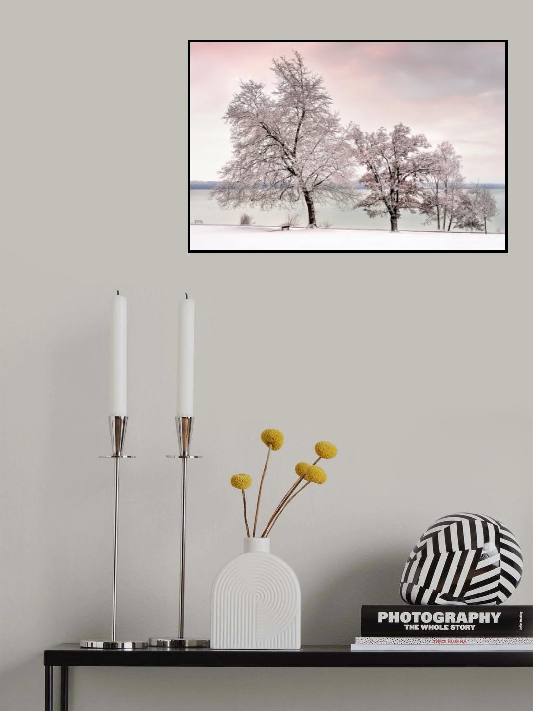 Winterdream Poster och Canvastavla