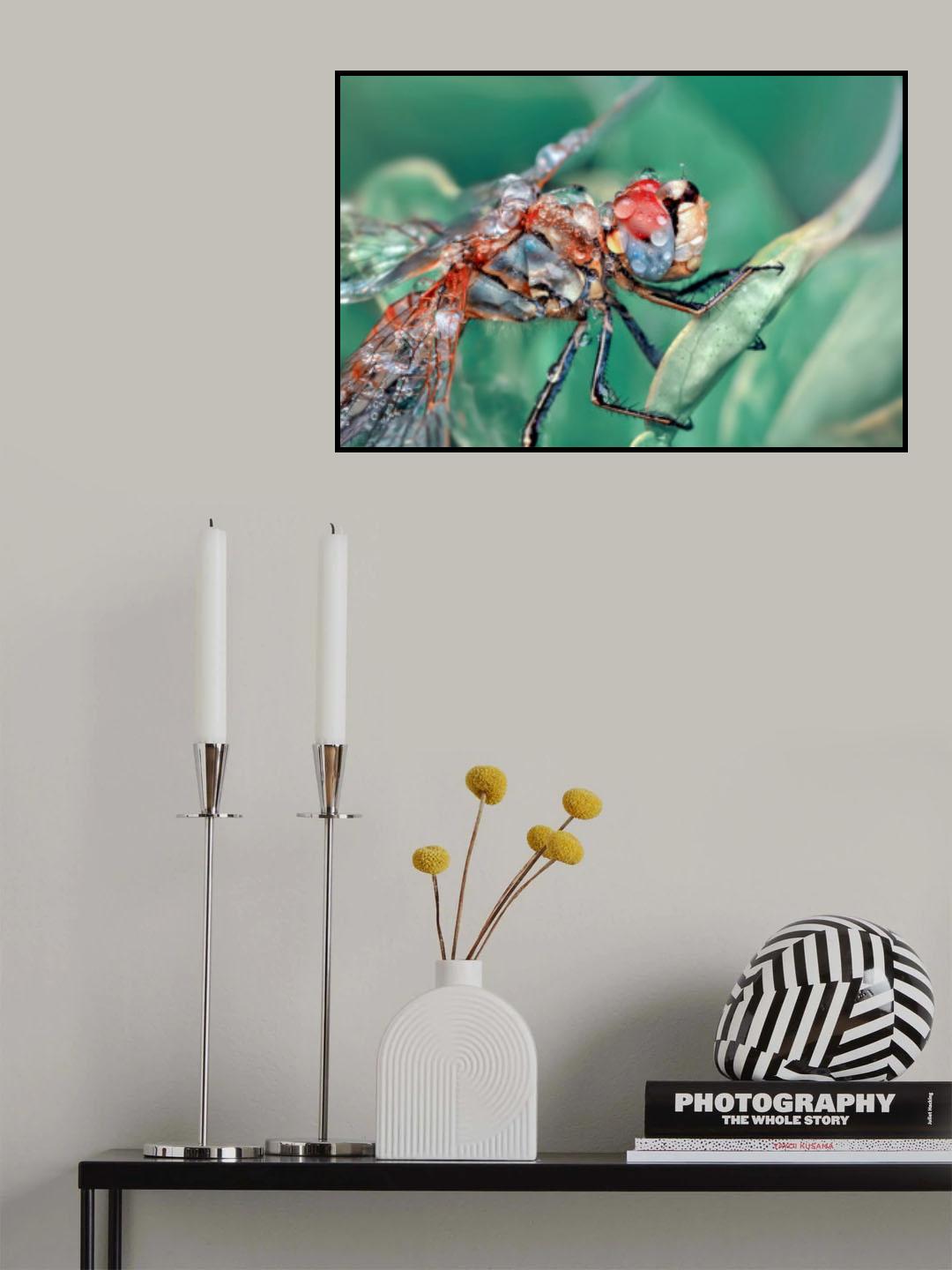 DRAGONFLY Poster och Canvastavla