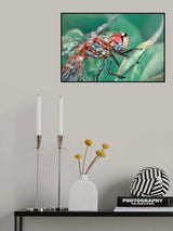 DRAGONFLY Poster och Canvastavla
