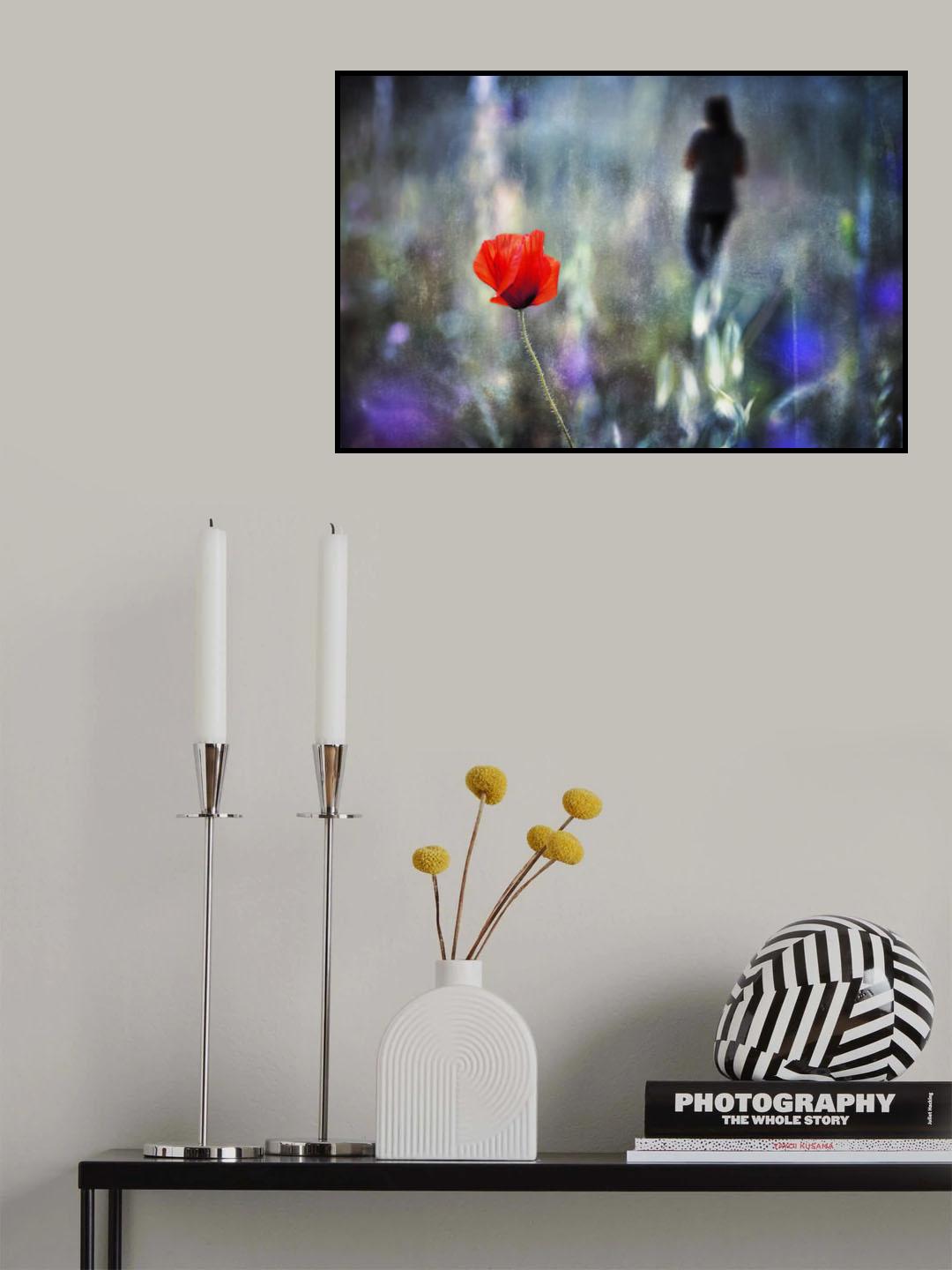 Looking for poppies Poster och Canvastavla