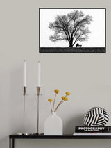 Pleasurable Solitude Poster och Canvastavla