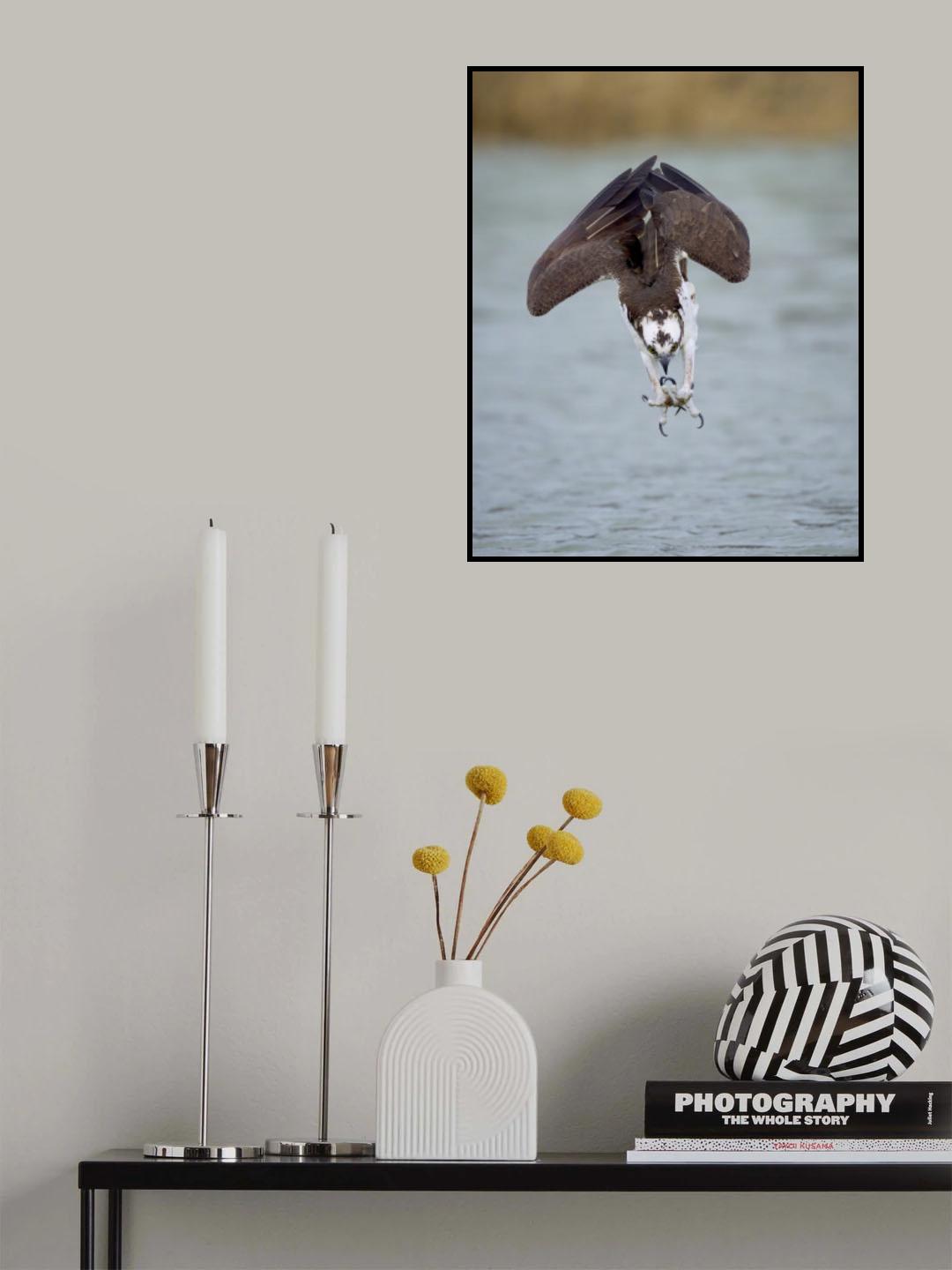 A Successful Dive Poster och Canvastavla