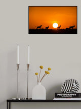 Running on  the sunset Poster och Canvastavla