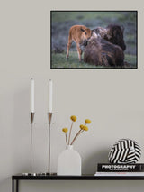 Stay warm Poster och Canvastavla