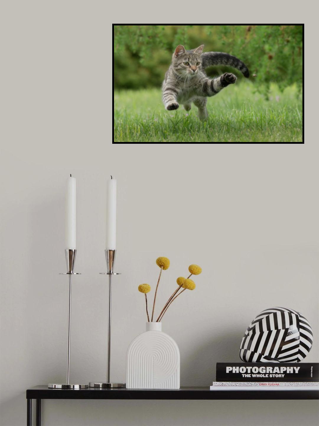 Poster och Canvastavla
