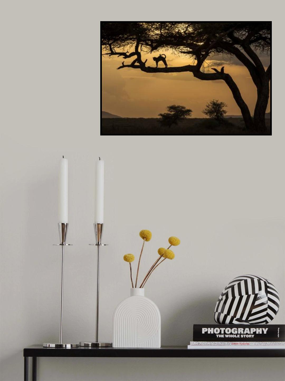 Leopard during Safari Poster och Canvastavla