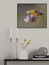 NESTING Poster och Canvastavla