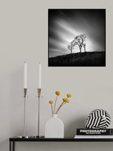 After the Wildfires Poster och Canvastavla