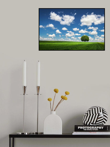 Lonely Tree Poster och Canvastavla