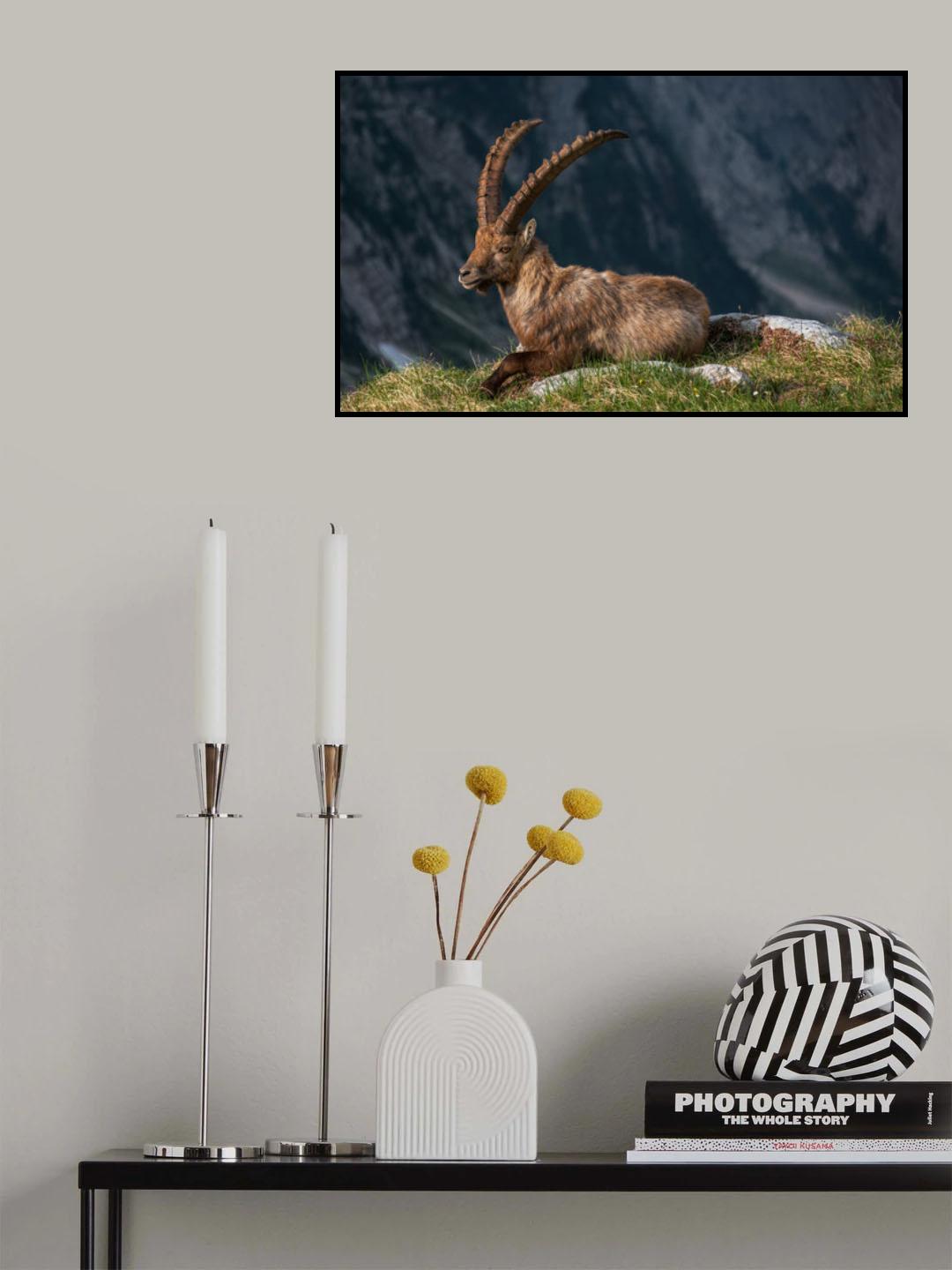 High in the mountains Poster och Canvastavla