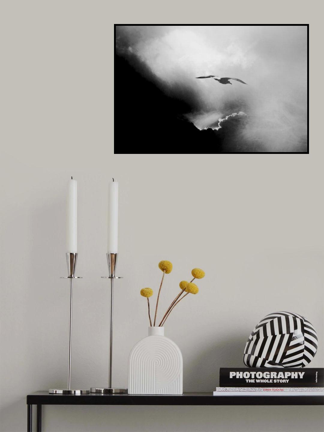 seagull Poster och Canvastavla
