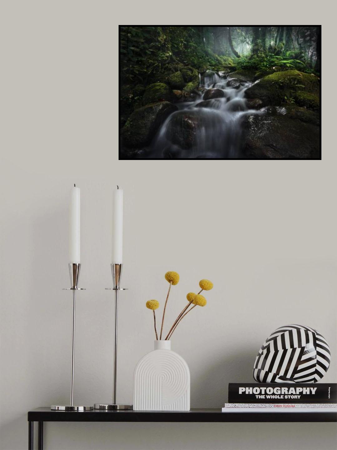 Borneo Rainforest Poster och Canvastavla
