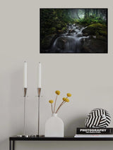 Borneo Rainforest Poster och Canvastavla