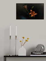 Orange Dream Poster och Canvastavla