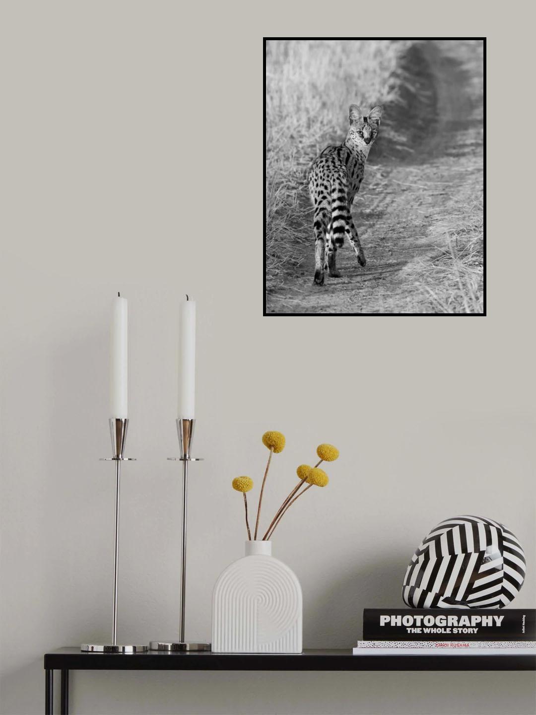 Serval Poster och Canvastavla