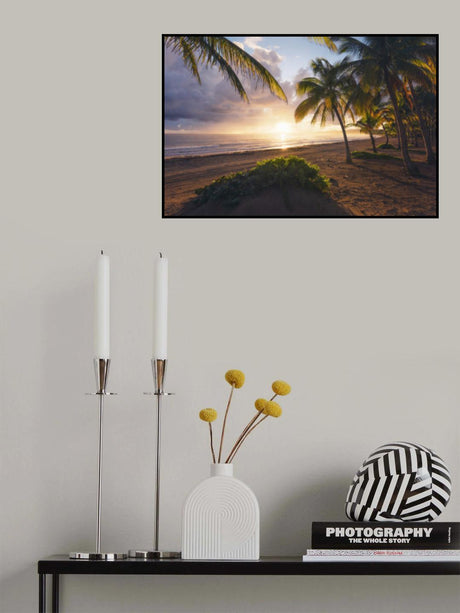 Good Morning Paradise Poster och Canvastavla