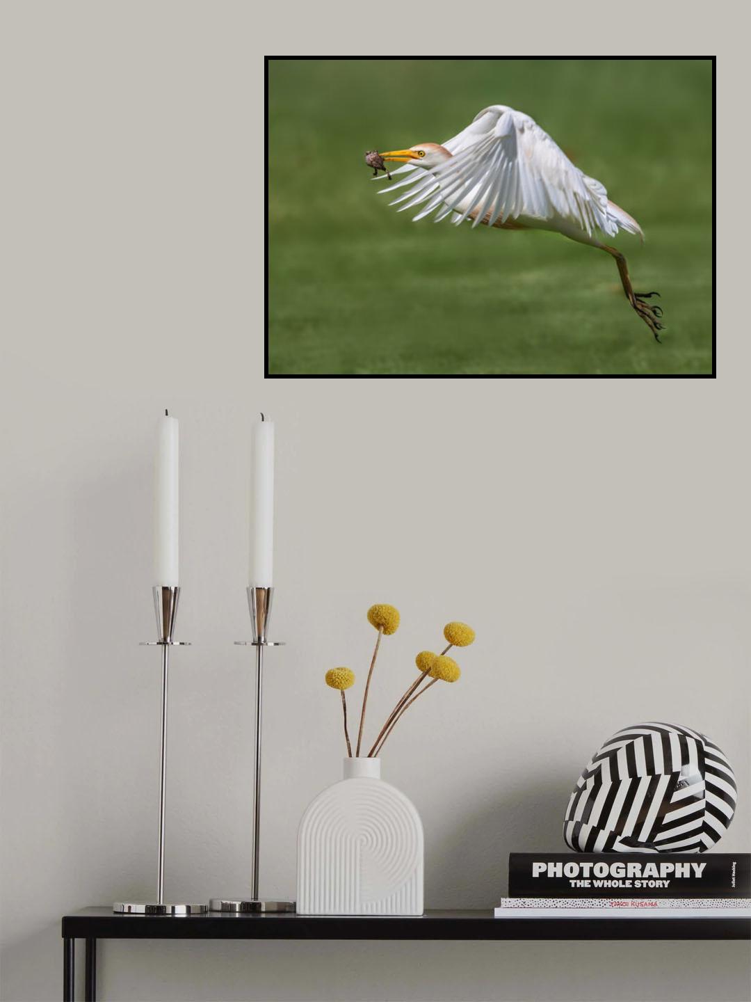 Fly away with my trophy(frog) Poster och Canvastavla