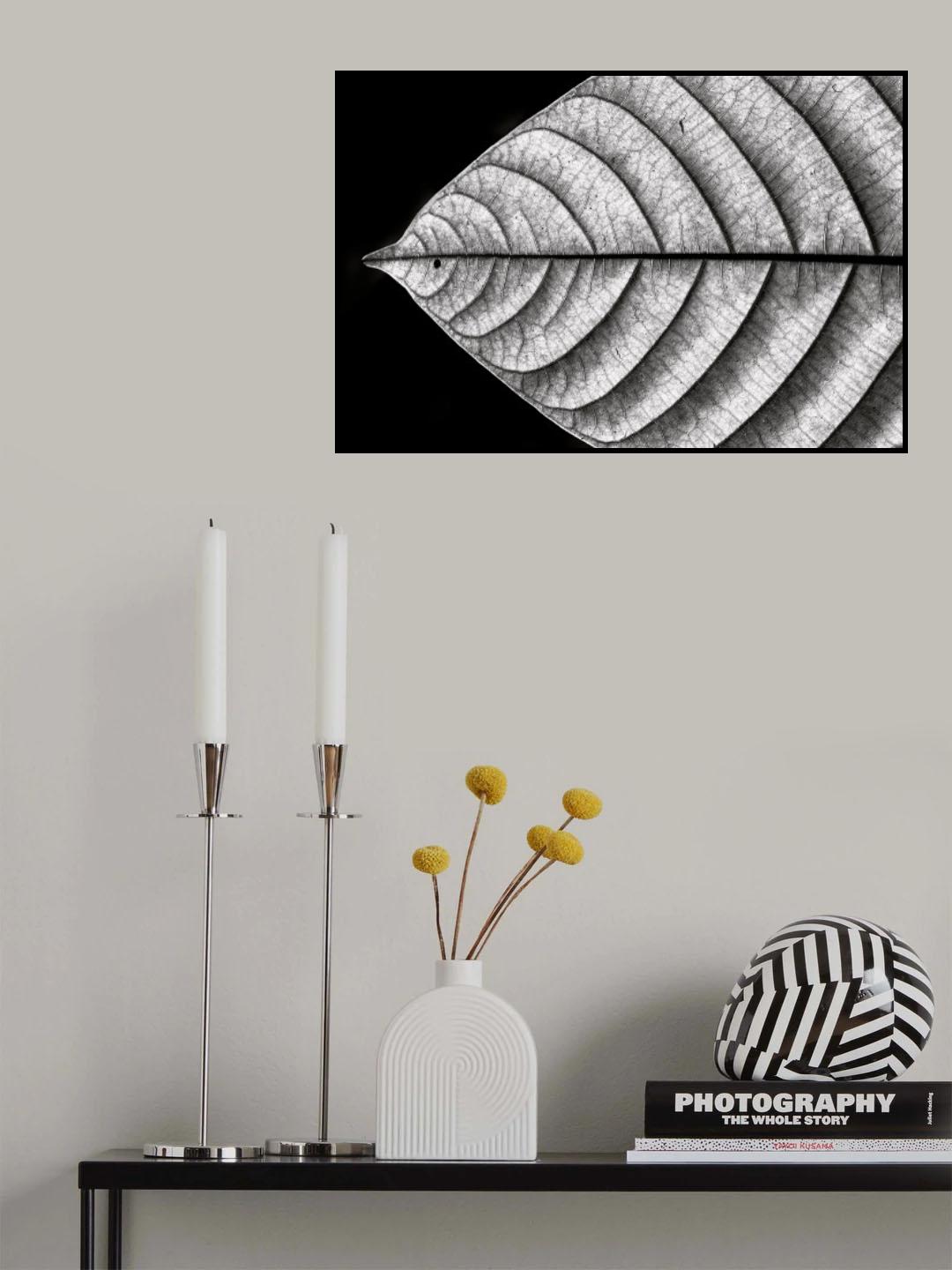 Dry Fish Poster och Canvastavla
