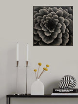 Bw Geo 2 Poster och Canvastavla