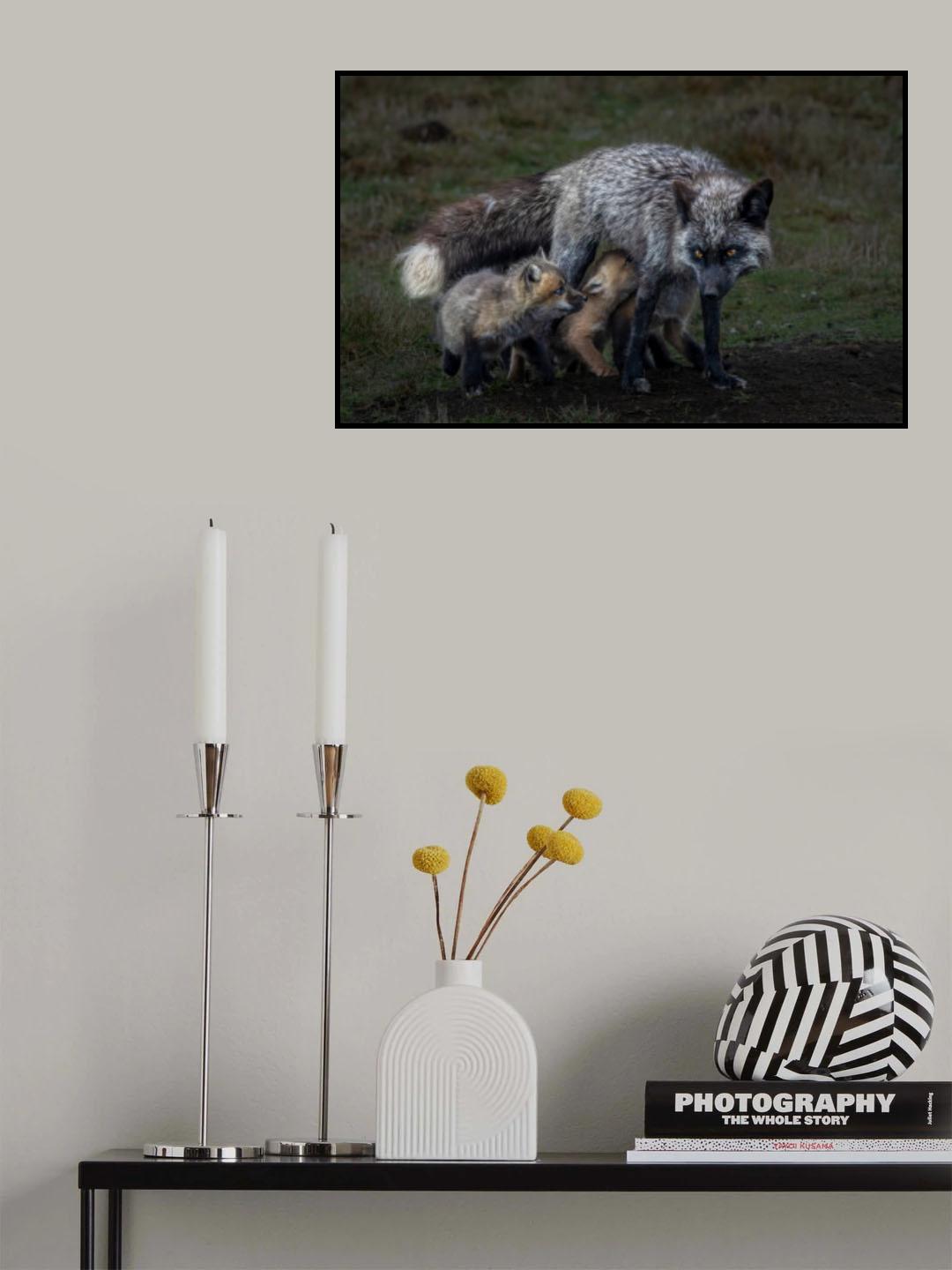Vigilant Gaze Poster och Canvastavla