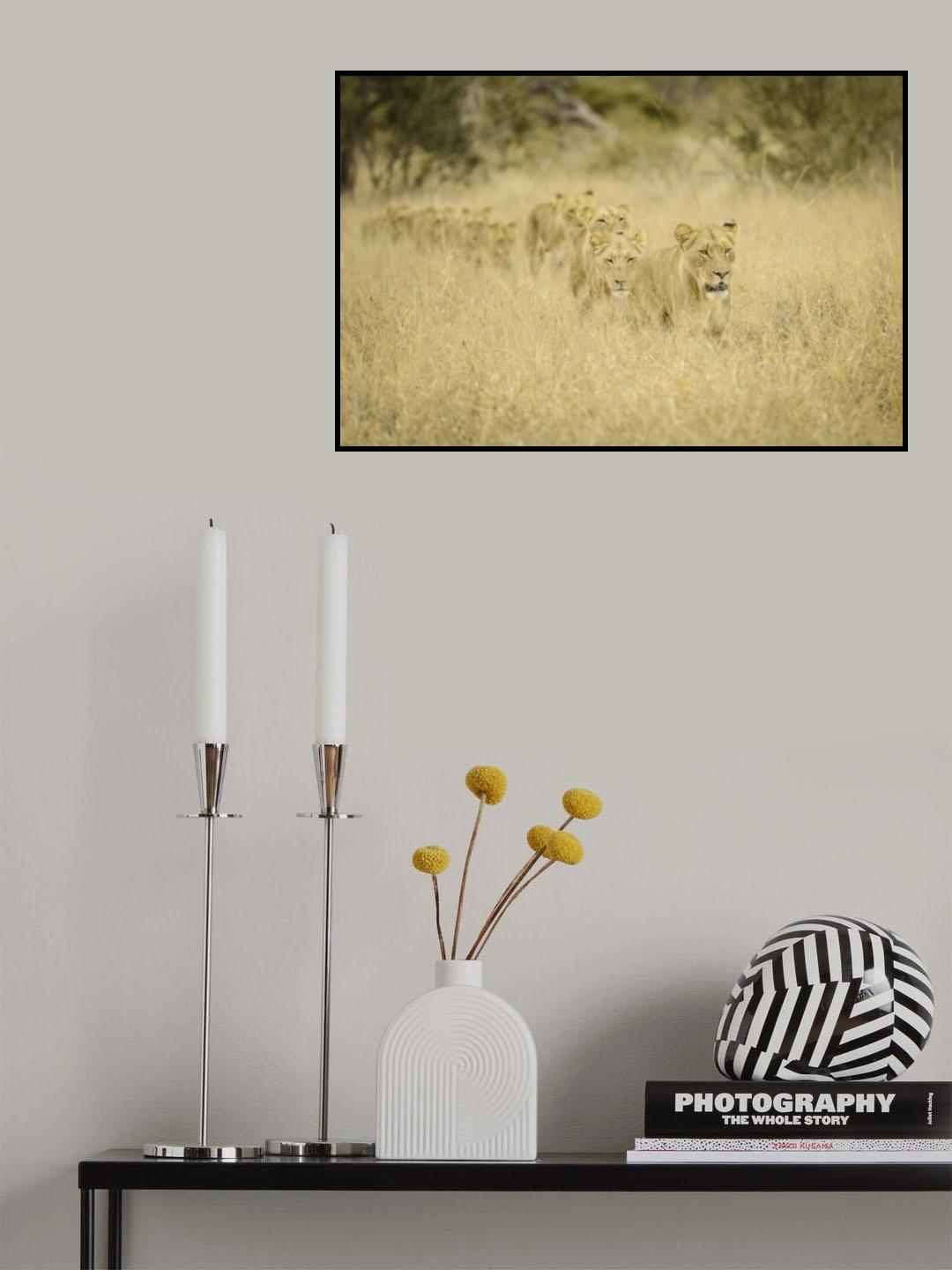 Convoy Poster och Canvastavla