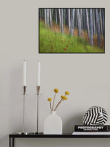 Spring on my island Poster och Canvastavla