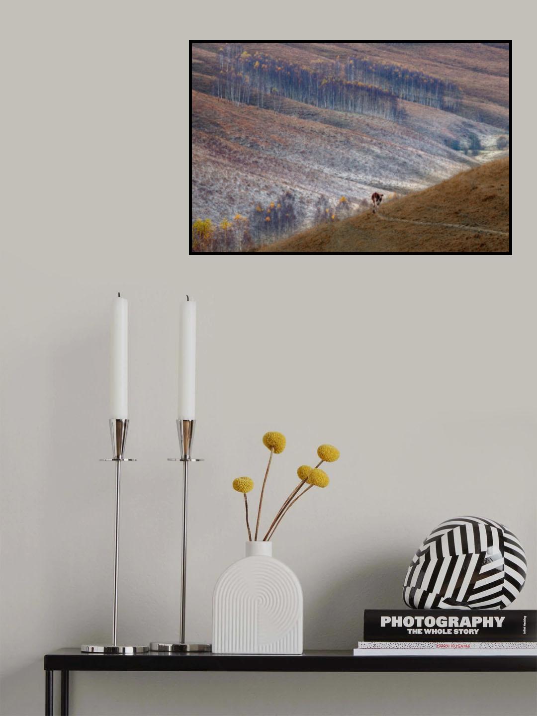 Silent world Poster och Canvastavla